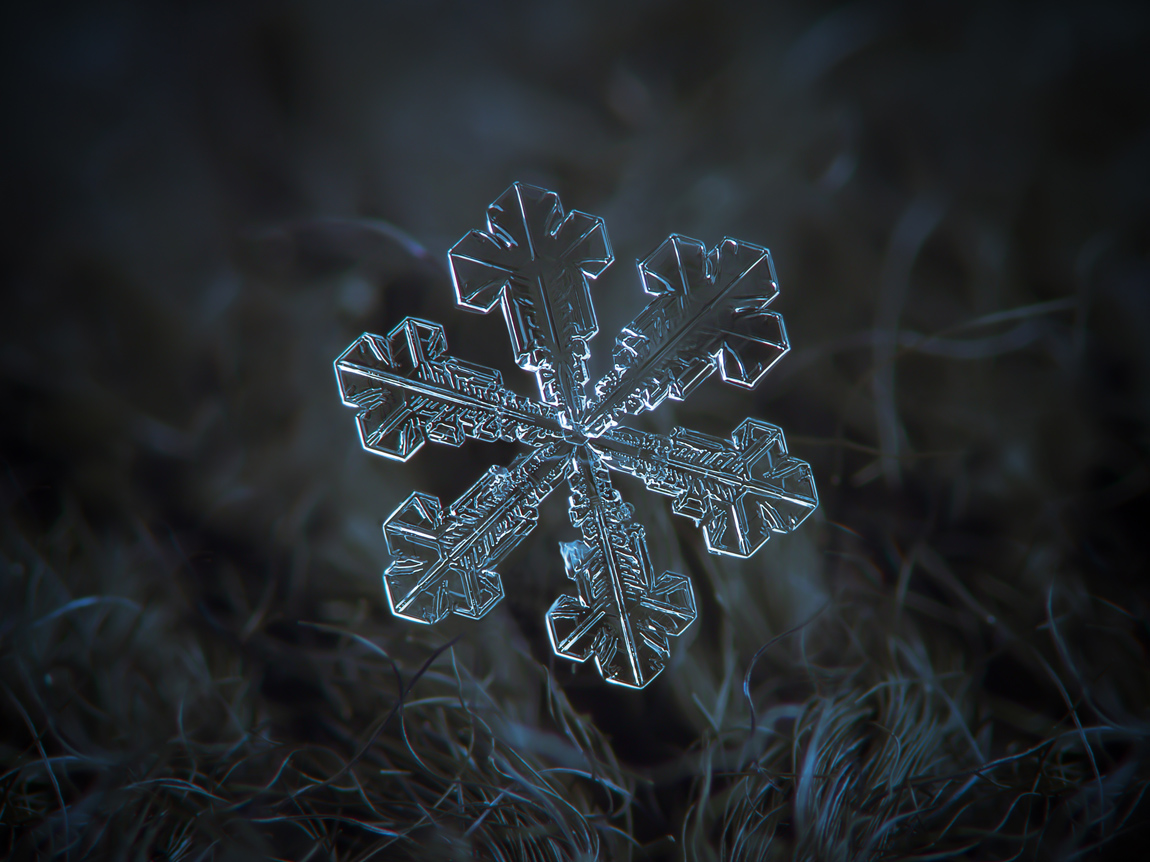 close-up-of-a-single-snowflake-(3)