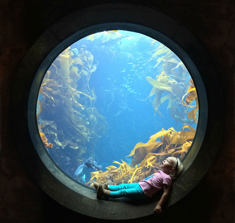 sitting-in-circular-window-at-the-aquarium