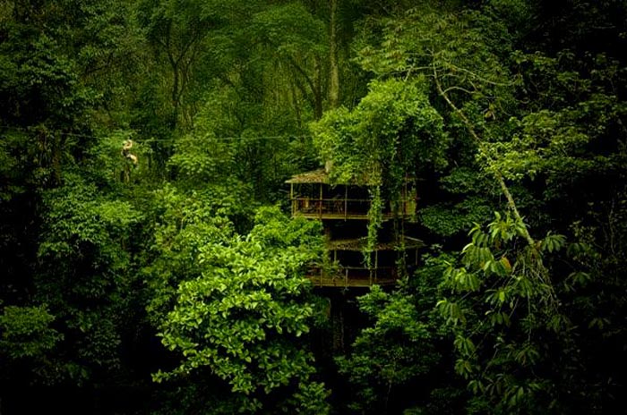 Finca_Bellavista_Treehouse_Community_Costa_Rica_12